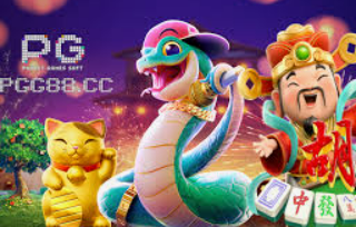 BET365官方网站2024最新版