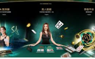 BET365官方网站正式版